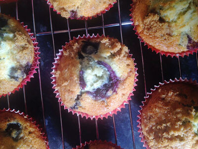 Blueberry Muffins