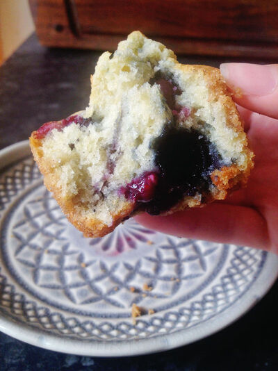 blueberrymuffins6