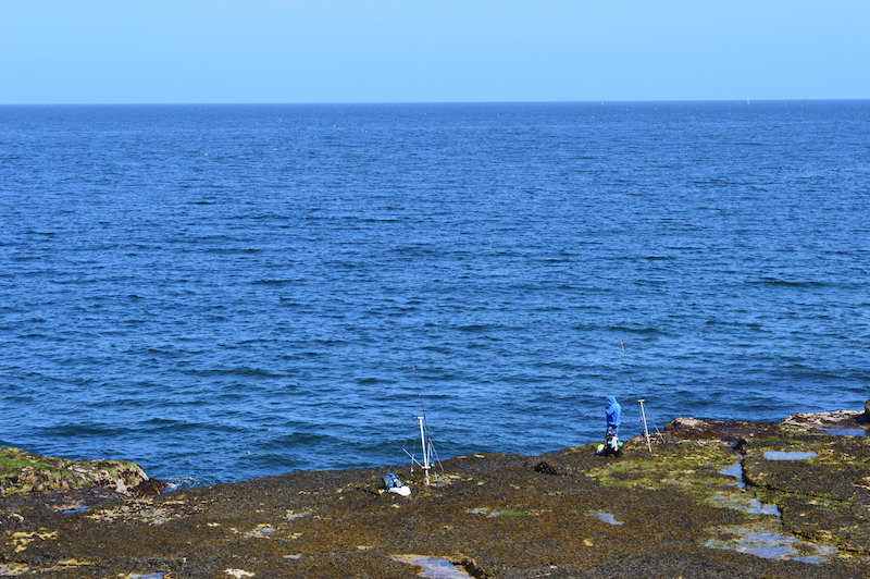 Seacliff Beach2