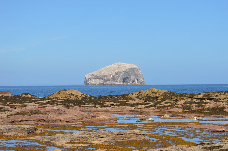 Bass Rock