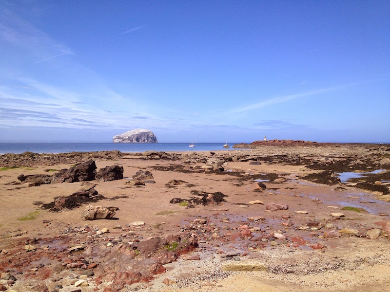 Seacliff Beach1